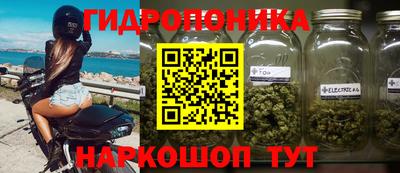 крисы Изобильный