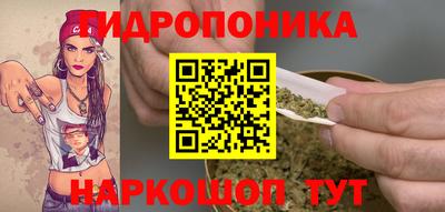 крисы Изобильный